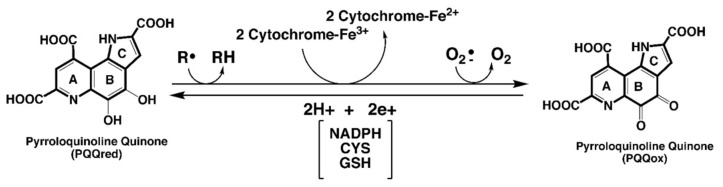 包含圖片、插圖等的外部文件。
對象名稱為 biomolecules-11-01441-g001.jpg