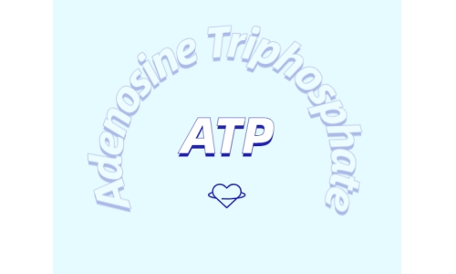 ATP補充劑對運動有什么益處？