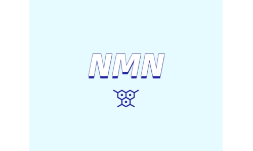 哪里可以買到 nmn？